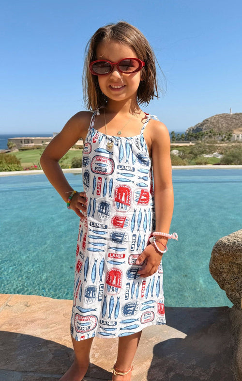 Sidekick Dress ~ Sardine Border