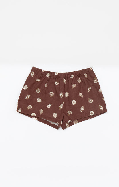Little Shells Set ~ Cocoa Coast