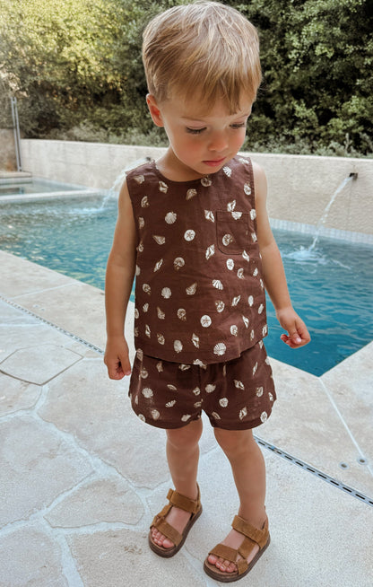 Little Shells Set ~ Cocoa Coast