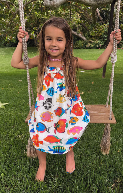 Little Angel Mini ~ Rainbow Reef